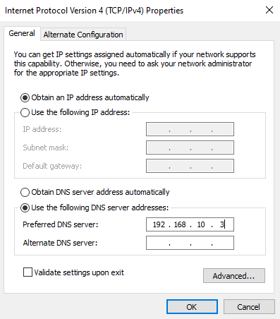 Client IPv4 Properties